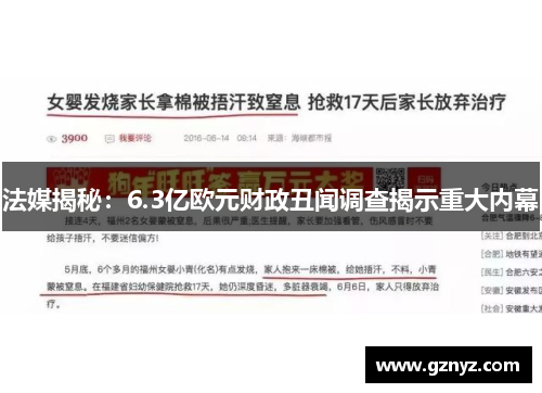 法媒揭秘：6.3亿欧元财政丑闻调查揭示重大内幕